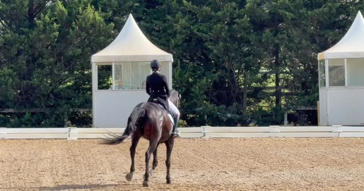 Cavalier qui travaille son cheval dans une carrière de dressage